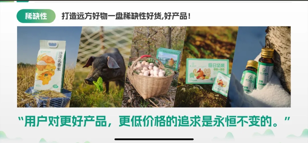 微信截图_20240916173813.png