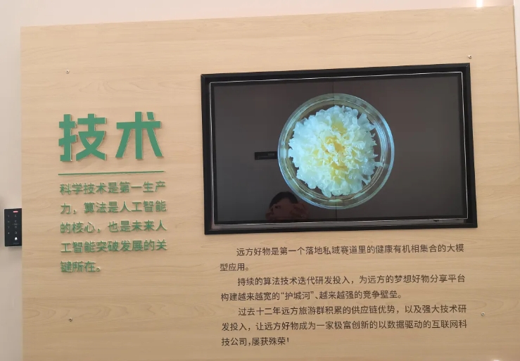 微信截图_20241011205159.png