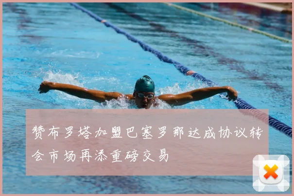 赞布罗塔加盟巴塞罗那达成协议转会市场再添重磅交易